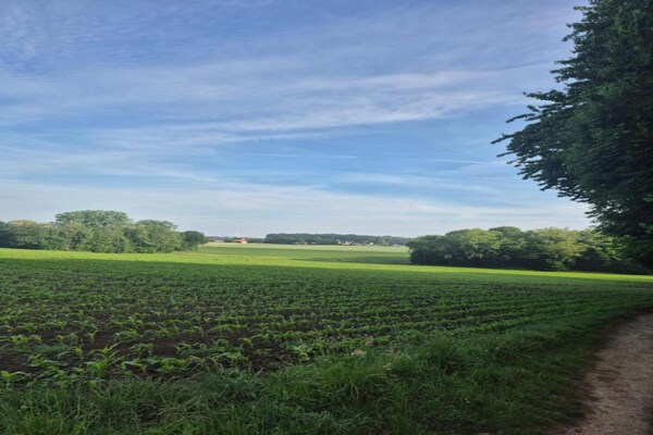 Foto van Familie-uitje Bad Bentheim - Vakantiehuis in Bad Bentheim - AreaSummer20KM
