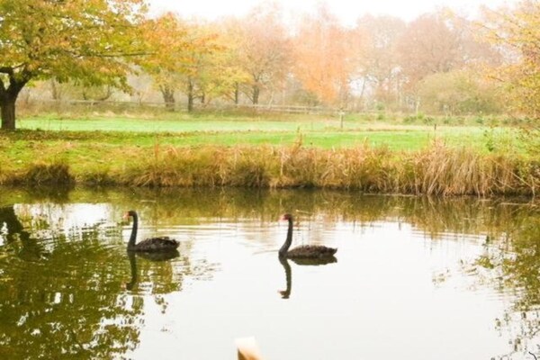 Foto van Familie-uitje Bad Bentheim - Vakantiehuis in Bad Bentheim - AreaSummer20KM