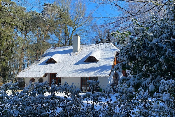 Foto van Ferienhaus Boschhuys - Vakantiehuis in Uelsen - ExteriorWinter