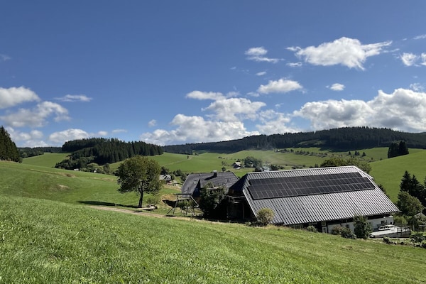 Foto van Danielenhof1701 - Vakantieappartement Bruckbach - Vakantiehuis in Breitnau - Untagged