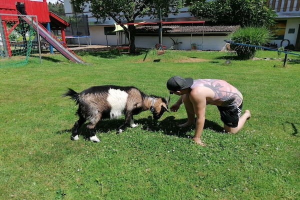 Foto van Dreisessel - Neukirchinger vakantieboerderij - Vakantiehuis in Tiefenbach - Untagged