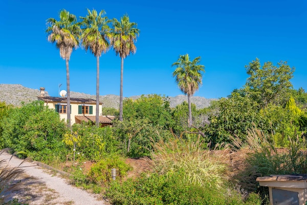 Foto van Charmant huis in Pollença bij Tramuntana - Vakantiehuis in Pollensa, Illes Balears - ExteriorSummer