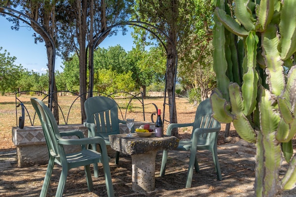 Foto van Villa in Santa Maria met zoutwaterzwembad - Vakantiehuis in Santa María Del Cami, Illes Balears - GardenSummer