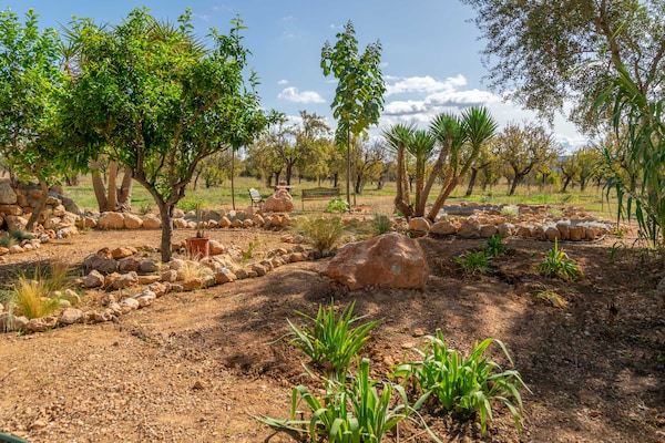 Foto van Villa in Santa Maria met zoutwaterzwembad - Vakantiehuis in Santa María Del Cami, Illes Balears - GardenSummer
