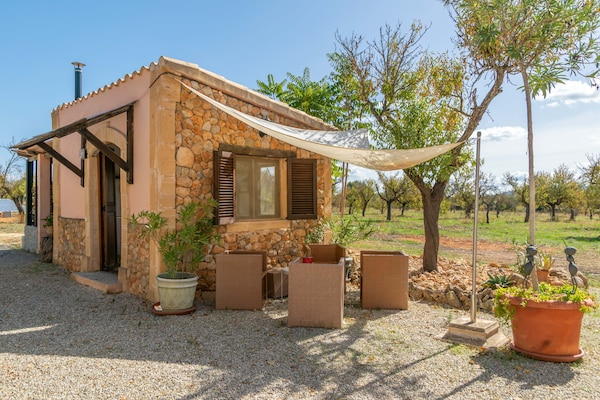 Foto van Villa in Santa Maria met zoutwaterzwembad - Vakantiehuis in Santa María Del Cami, Illes Balears - ExteriorSummer