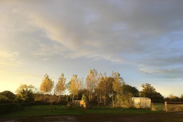 Foto van Golden Light Cottage Escape - Vakantiehuis in Sainte-Marguerite-d'Elle - AreaSummer20KM