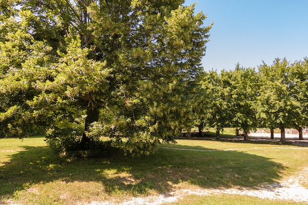 Foto van Cottage in Chaleix bij Bos en Meer - Vakantiehuis in Chalais - GardenSummer