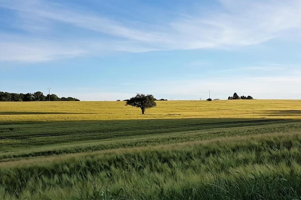 Foto van Cottage in Chaleix bij Bos en Meer - Vakantiehuis in Chalais - AreaSummer5KM
