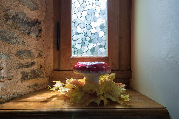 Foto van Cottage in Chaleix bij Bos en Meer - Vakantiehuis in Chalais - Ambiance