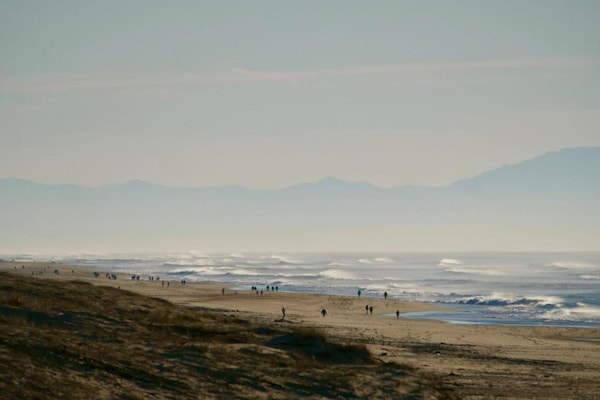 Foto van Appartement in Frankrijk met tuin of terras - Vakantiehuis in Moliets et maa - AreaSummer20KM