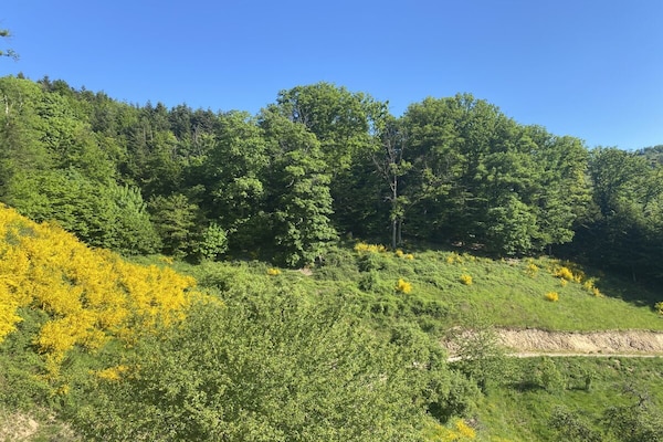 Foto van Ferme Du Point Du Jour - Vakantiehuis in Saint Marie Aux Mines - Untagged