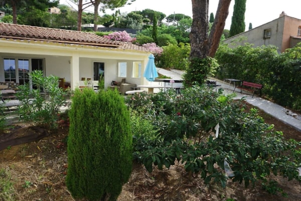 Foto van De kleine Provence || Cavalaire - Vakantiehuis in Cavalaire - Untagged