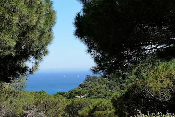 Foto van Escalet ETG strandzwembad Ramatuelle - Vakantiehuis in Ramatuelle - Untagged