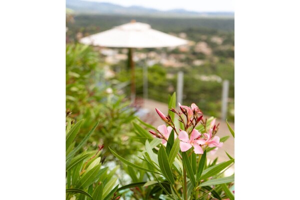 Foto van Corniche du Paradis - Vakantiehuis in Roquebrune sur Argens La Bouverie - Untagged