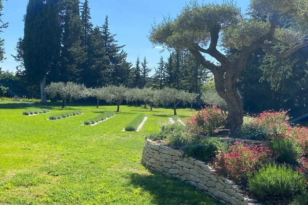 Foto van Landhuis in Provence met Zwembad & Dorp - Vakantiehuis in Valréas - Landing