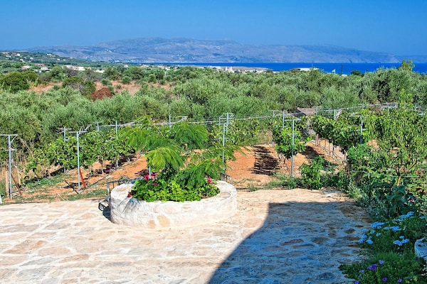 Foto van Kretaanse villa vlakbij het strand voor 10 - Vakantiehuis in Kondomari - AreaSummer5KM
