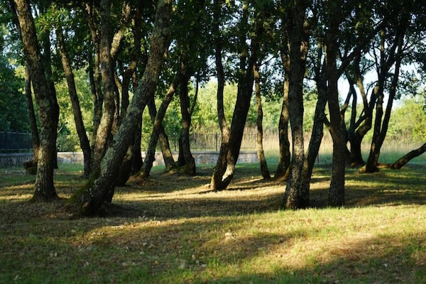 Foto van Stijlvolle villa met zwembad en tuin - Vakantiehuis in Čepić - 