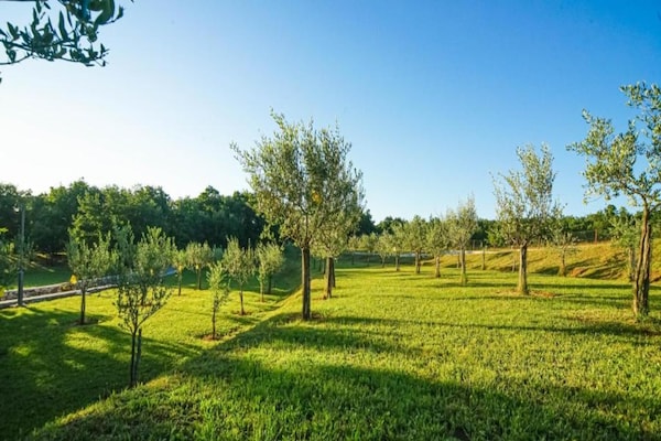 Foto van Stijlvolle villa met zwembad en tuin - Vakantiehuis in Čepić - 