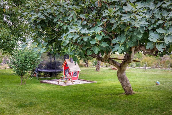 Foto van Stijlvolle villa met zwembad en tuin - Vakantiehuis in Čepić - Facilities