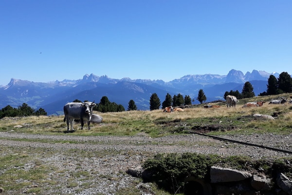 Foto van Finggeneislerhof - Vakantiehuis in Villanders - Untagged