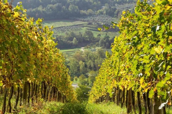 Foto van Toscane Geluk: Tuinretraite - Vakantiehuis in San Casciano Val di Pesa (FI) - AreaSummer5KM