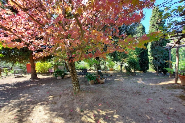 Foto van Vakantiehuis in Toscane bij Lucca - Vakantiehuis in Fiano Pescaglia - GardenSummer