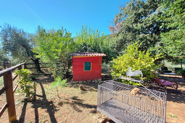 Foto van Vakantiehuis in Toscane bij Lucca - Vakantiehuis in Fiano Pescaglia - Facilities
