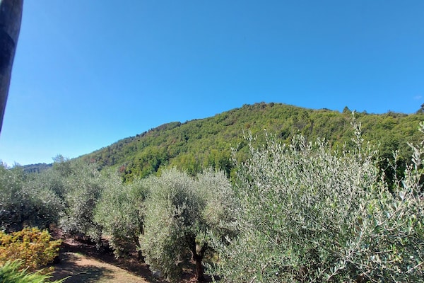 Foto van Vakantiehuis in Toscane bij Lucca - Vakantiehuis in Fiano Pescaglia - ViewSummer