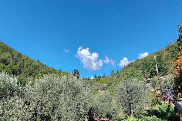 Foto van Vakantiehuis in Toscane bij Lucca - Vakantiehuis in Fiano Pescaglia - ViewSummer