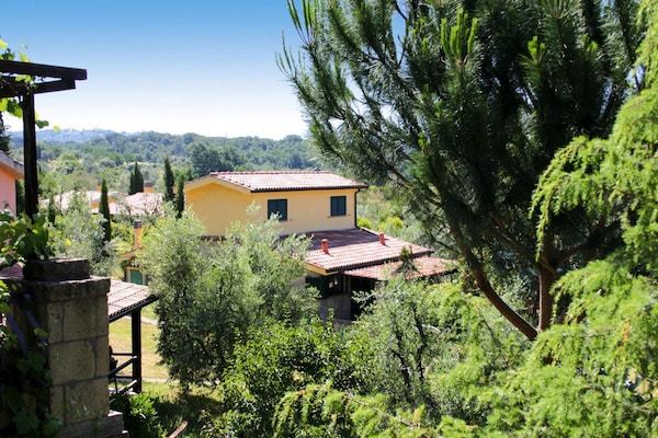 Foto van Residentie bij Guardistallo met Olijfgaarden - Vakantiehuis in Guardistallo - ExteriorSummer
