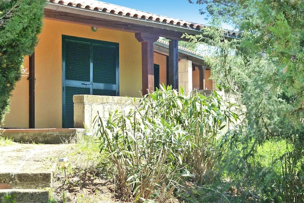 Foto van Residentie bij Guardistallo met Olijfgaarden - Vakantiehuis in Guardistallo - ExteriorSummer