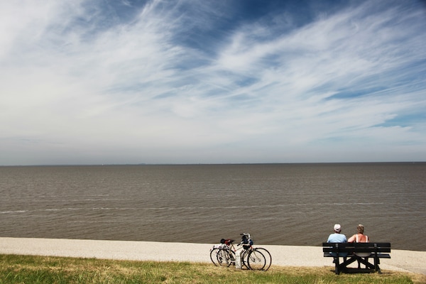 Foto van Comfortabele kustvakantie - Vakantiehuis in Hippolytushoef - AreaSummer1KM