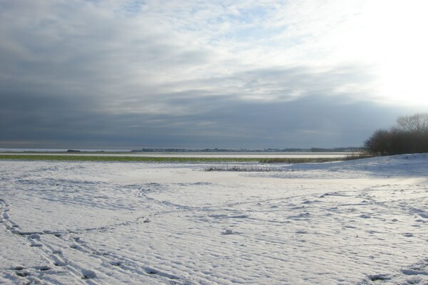 Foto van De Witte Hoek Texel - Vakantiehuis in De Cocksdorp - Untagged