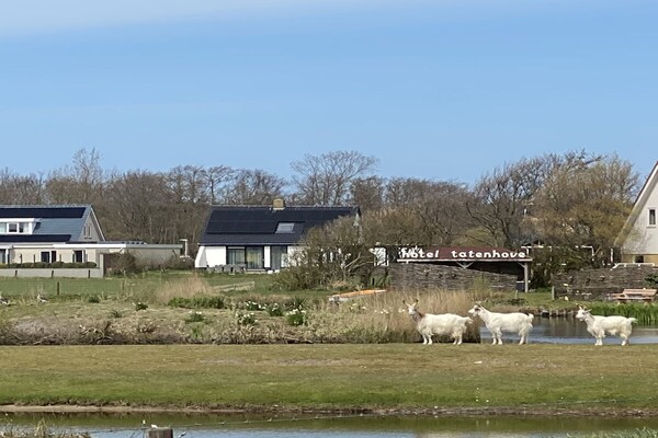 Foto van Familievilla Orchismient 17 - Vakantiehuis in De Koog - Untagged