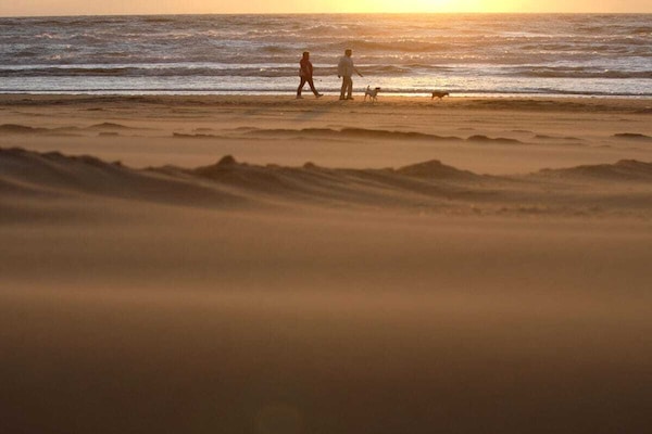 Foto van de Mooij familie 3 - Vakantiehuis in Noordwijk - Untagged