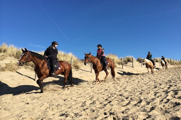 Foto van de Mooij familie 3 - Vakantiehuis in Noordwijk - Untagged