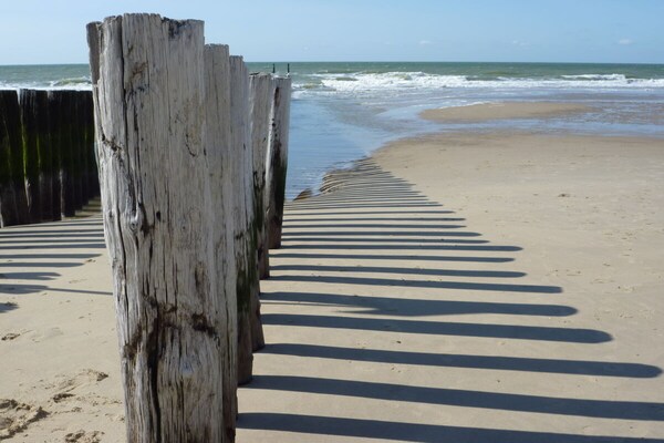 Foto van DO51 Zuiderpark 6 - Vakantiehuis in Domburg - Untagged