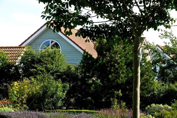 Foto van direct aan het Banjaardstrand - Vakantiehuis in Kamperland - Untagged