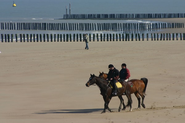 Foto van Duinhof IX E302 - Vakantiehuis in Cadzand-Bad - Untagged