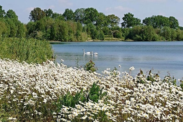 Foto van Vakantiehuis in Gelderland met tuin - Vakantiehuis in Plasmolen - AreaSummer20KM