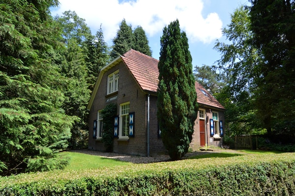 Foto van Vakantiehuis in Zelhem met Tuin - Vakantiehuis in Zelhem - ExteriorSummer