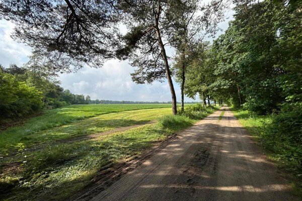 Foto van Vakantiehuis in Zelhem met Tuin - Vakantiehuis in Zelhem - AreaSummer20KM