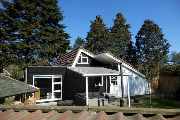 Foto van Familievilla met jacuzzi en grote tuin - Vakantiehuis in Balkbrug - ExteriorSummer
