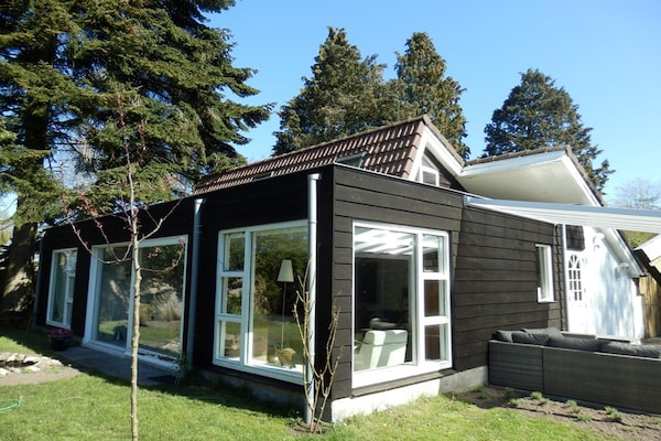 Foto van Familievilla met jacuzzi en grote tuin - Vakantiehuis in Balkbrug - ExteriorSummer