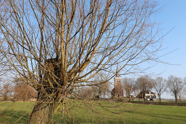 Foto van Compleet nieuwe vakantiewoning in Friesland - Vakantiehuis in leons - AreaSummer1KM