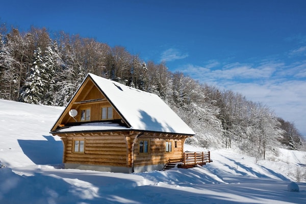 Foto van Comfortabele vakantievilla in de bergen, sauna - Vakantiehuis in Piwniczna Zdroj - ExteriorWinter