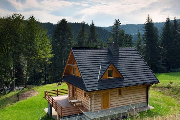 Foto van Comfortabele vakantievilla in de bergen, sauna - Vakantiehuis in Piwniczna Zdroj - ExteriorSummer